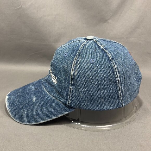 Carnival Cruise Line Strapback Hat Cap Blue Denim Souvenir Distressed Dad Mens - Picture 4 of 14